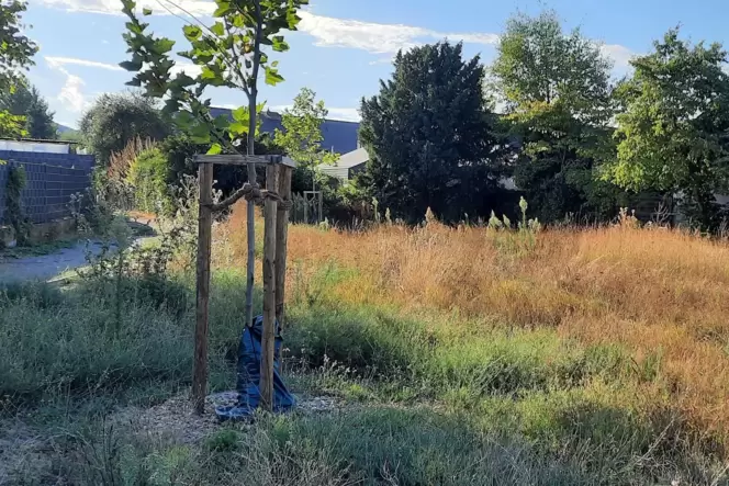 An der Schwetzinger Straße soll ein neuer Spielplatz entstehen.