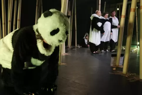 Aufbegehren zwischen Bambus: „Die Rache der Panda Pussies“ ist beim Mainzer Festival zu erleben. 