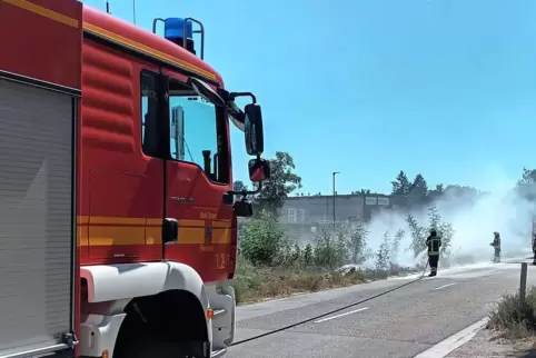Die Busch-Zwillinge sind in Offenbach in der Feuerwehr. 
