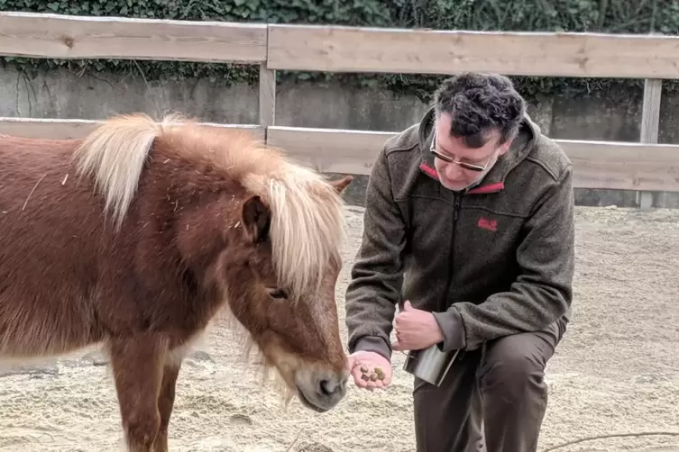 Zoodirektor Klaus Wünnemann füttert ein Pony.