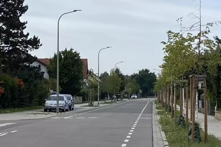 Die Buchstraße am Ortsausgang Richtung Wörth: Manche Autofahrer erliegen der Versuchung, hier schneller als 30 Stundenkilometer 