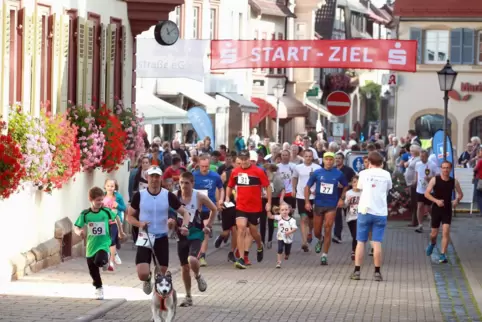 Beim Sponsorenlauf 2014 liefen zahlreiche Läufer ins Ziel. 