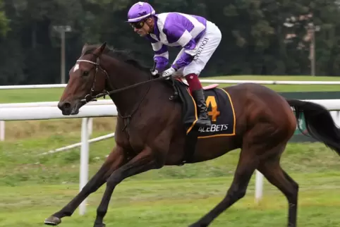 Elegant Fighter bei seinem dritten Platz im September 2021 in Dortmund. Im Sattel saß der zweifache Championjockey Alexander Pie