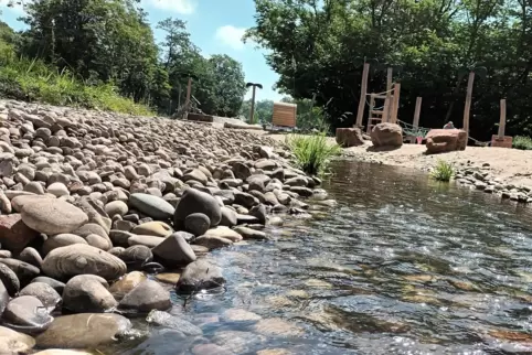 Der Erlenbach nach seiner Offenlegung. 