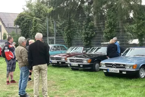 Den Stern auf dem Kühlergrill hatten einige Fahrzeuge. 
