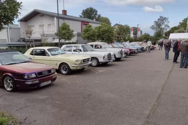 120 Autos wurden pr&auml;sentiert. 
