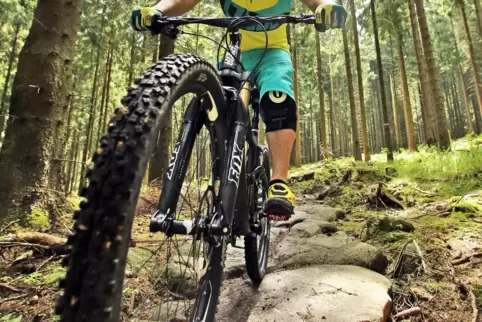 Vor allem ungeübte Mountainbiker können der Natur mehr schaden als Wanderer, sagt Marx.