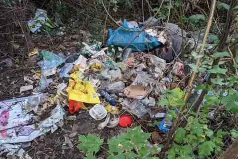Müllablagerung in einem Gebüsch.