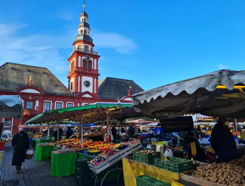 Der Wochenmarkt am Marktplatz ist samstags prall gefüllt und nicht nur bei Mannheimern beliebt.