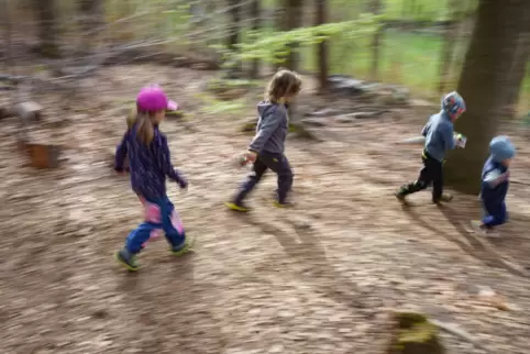 In einem Waldkindergarten soll der Nachwuchs die Natur hautnah erleben. 