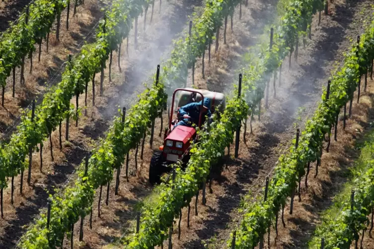 Ein Traktor mit Pflanzenschutzmitteln am Kaiserstuhl. Die EU will den Einsatz der Mittel reduzieren, Winzer verweisen auf ihre e