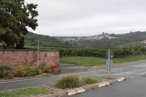 Hier an der L517, in den Weinbergen nördlich des Friedhofs (links die Friedhofsmauer), soll das Regenrückhaltebecken der Ortsgem