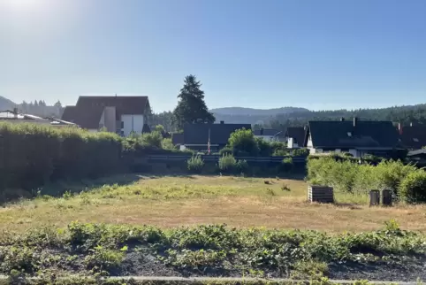 Das Grundstück neben dem Friedhof auf dem Neuhof soll vorerst nicht verkauft werden. Die zu gründende Stadtentwicklungsgesellsch