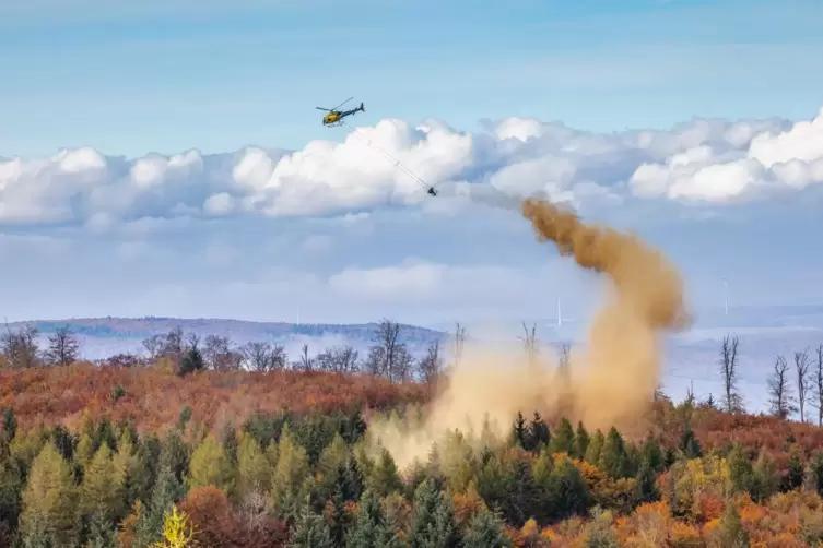 Ein Hubschrauber lässt Kalk über einem Waldgebiet ab. Für Menschen ist das Pulver ungefährlich und verschmutzt höchstens die Kle