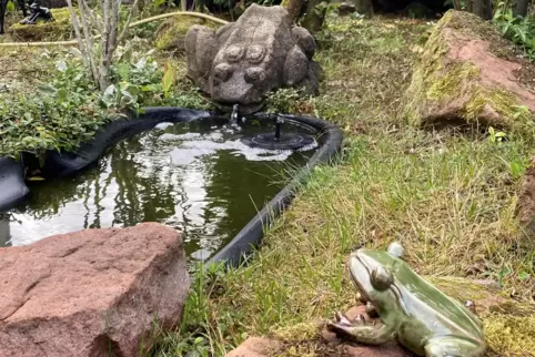 Hat Gesellschaft von Artgenossen: Der steinerne Frosch (hinten) sitzt seit einigen Jahren in einem Garten in Hohenecken. 