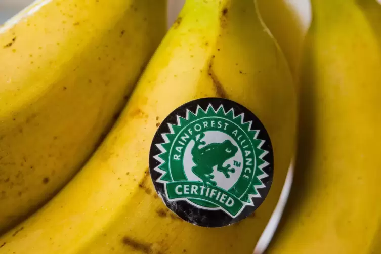 Verschiedene Siegel versprechen den nachhaltigen Anbau von Bananen. 