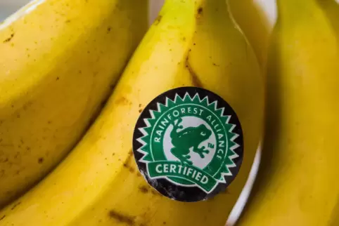 Verschiedene Siegel versprechen den nachhaltigen Anbau von Bananen. 