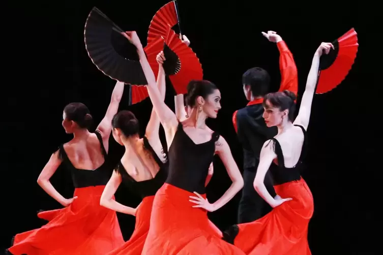 Wer Ballett tanzen könne, komme mit allen Tänzen klar, sagt Petra Schreieck.