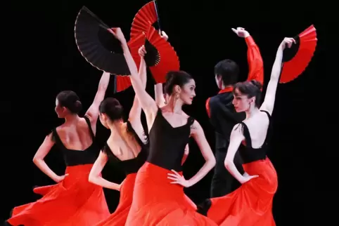 Wer Ballett tanzen könne, komme mit allen Tänzen klar, sagt Petra Schreieck.