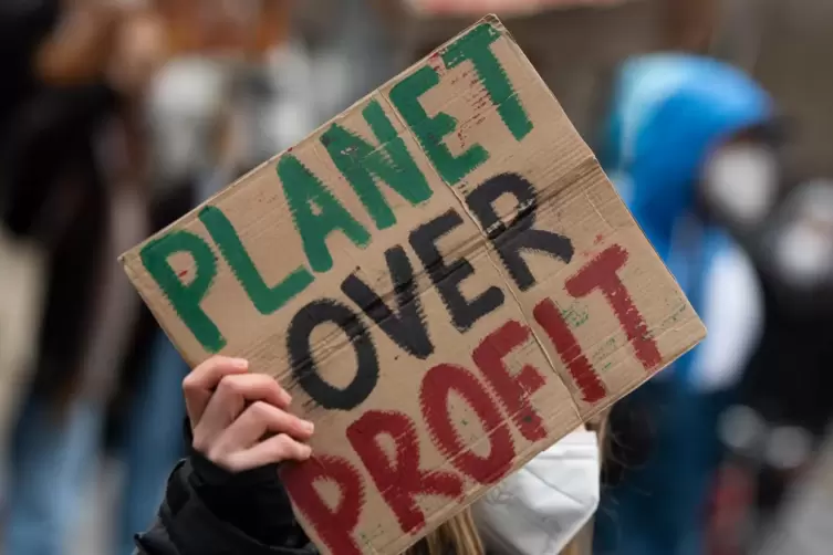 Der Planet ist wichtiger als der Profit: Bundesweit gehen Klimaaktivisten am Freitag auf die Straße. 