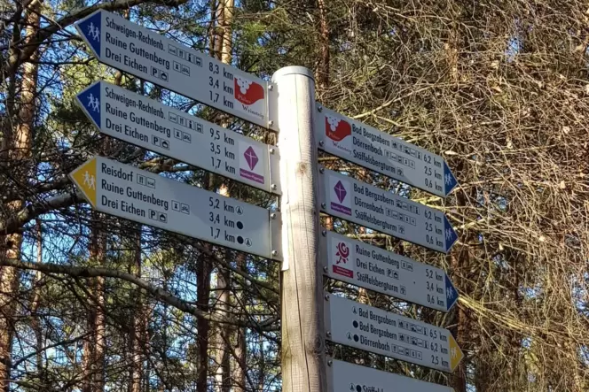 So geordnet wie hier bei Oberotterbach (Kreis Südliche Weinstraße) soll es bald überall im Pfälzerwald aussehen: einheitliche Ma So geordnet wie hier bei Oberotterbach (Kreis Südliche Weinstraße) soll es bald überall im Pfälzerwald aussehen: einheitliche Ma