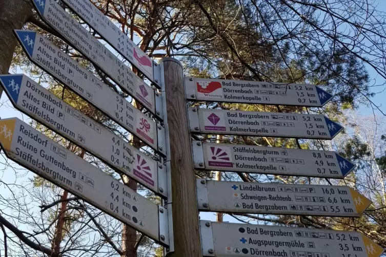 Das neue Markierungskonzept für Wanderwege im Pfälzerwald ist mancherorts bereits umgesetzt.