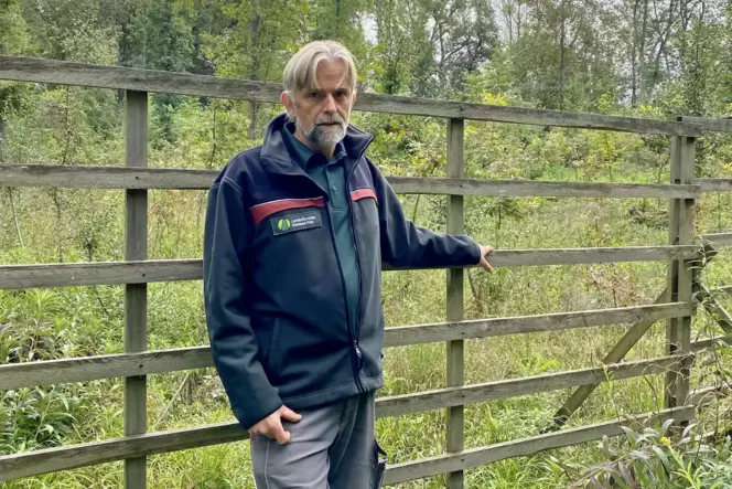 Vor einer aufgeforsteten Fläche im Angelwald: Förster Georg Spang. Vor einer aufgeforsteten Fläche im Angelwald: Förster Georg Spang.
