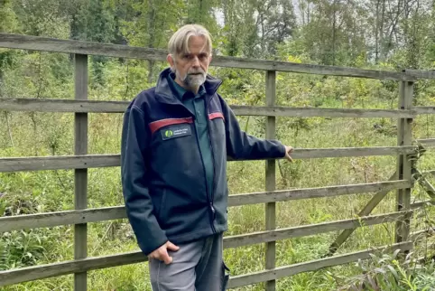 Vor einer aufgeforsteten Fläche im Angelwald: Förster Georg Spang. 