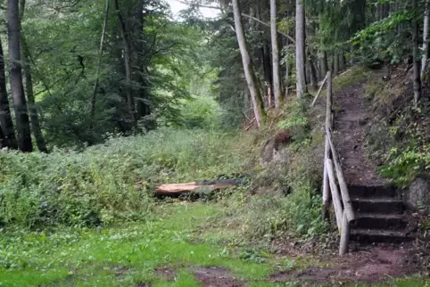 Warten auf den Wanderweg: Wo auf einem Entwurf des Wanderplanes rund um Hengsberg ein Weg verzeichnet ist, ist in der Realität a