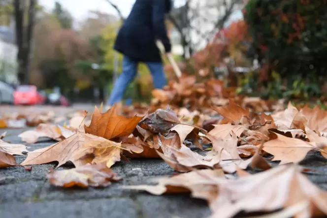 Die Frage, wie das Laub im Herbst entsorgt werden soll, hat in Frankenthal für einige Diskussionen gesorgt. Die Frage, wie das Laub im Herbst entsorgt werden soll, hat in Frankenthal für einige Diskussionen gesorgt.