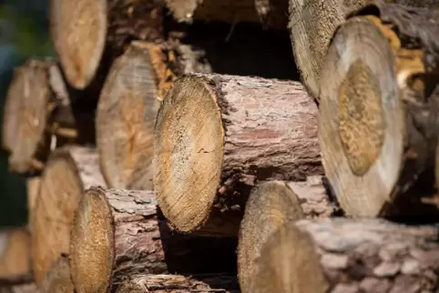 Begehrte Ware: frisch geschlagenes Holz am Wegesrand