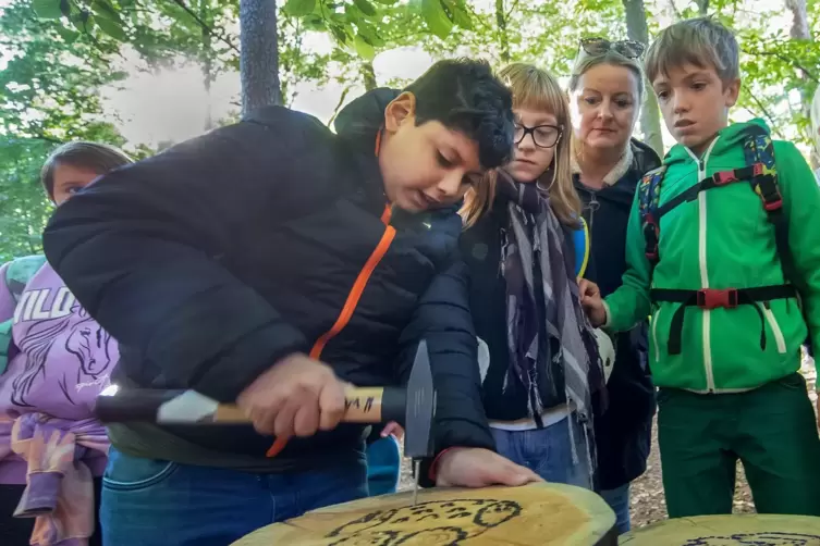 Ganz schön hart: Bei den Waldjugendspielen haben Schüler der Speyerer Pestalozzischule mit einem Hammer Nägel ins Holz getrieben