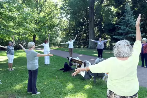 Der Kreisseniorenrat kümmert sich um die Belange von Senioren – auch der Gesundheitsbereich, wie Gymnastik im Schlossgarten, geh