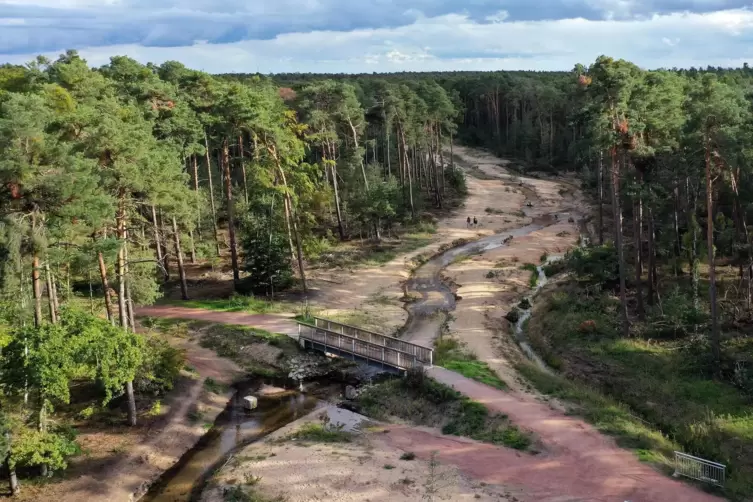 Hat sich im Sommer zu einer Art Naherholungsgebiet entwickelt: der neue Rehbach.