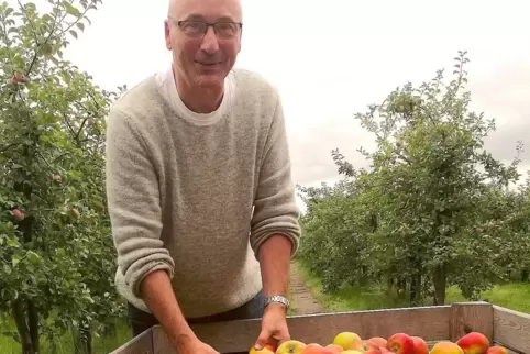 Nach wie vor sind Äpfel das beliebteste Obst in Deutschland. Die Bundesbürger aßen im Jahr 2020/2021 pro Kopf im Schnitt 24,4 Ki
