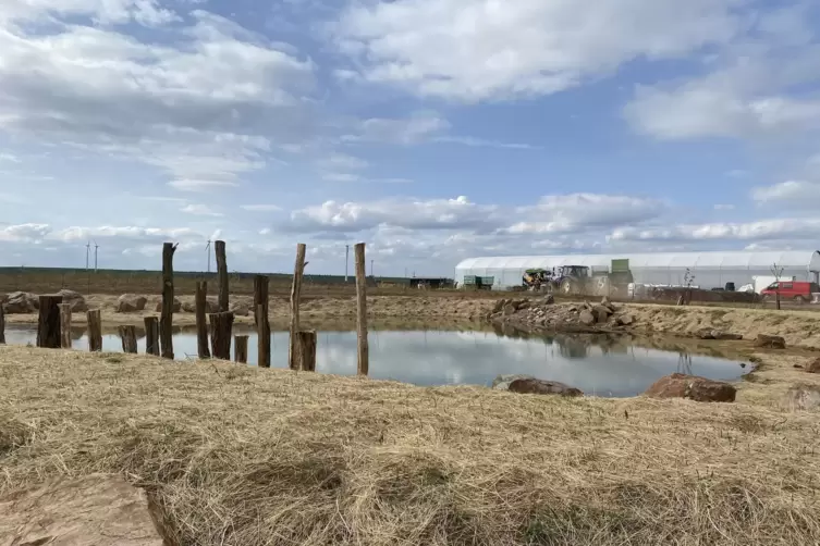 Der neu angelegte Bewässerungsteich sorgt gerade im Sommer für einen Puffer bei der Wasserversorgung. Einen Anschluss an eine Ve