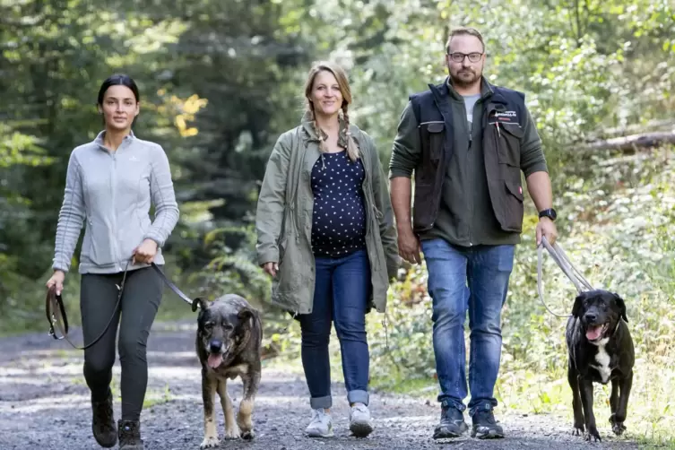 Das Dogstation-Team beim Spaziergang: Jennifer Guselmann mit Nico, Madeleine Ritter und Klaus Schmidt mit Avelle (von links). 