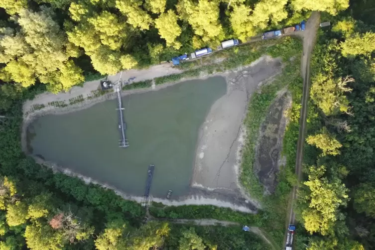 Das THW Germersheim und Speyer haben Wasser eines Baggersees bei H&ouml;rdt abgepumpt. 
