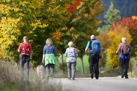 Der Herbst lockt wieder die Wanderer in den Wald