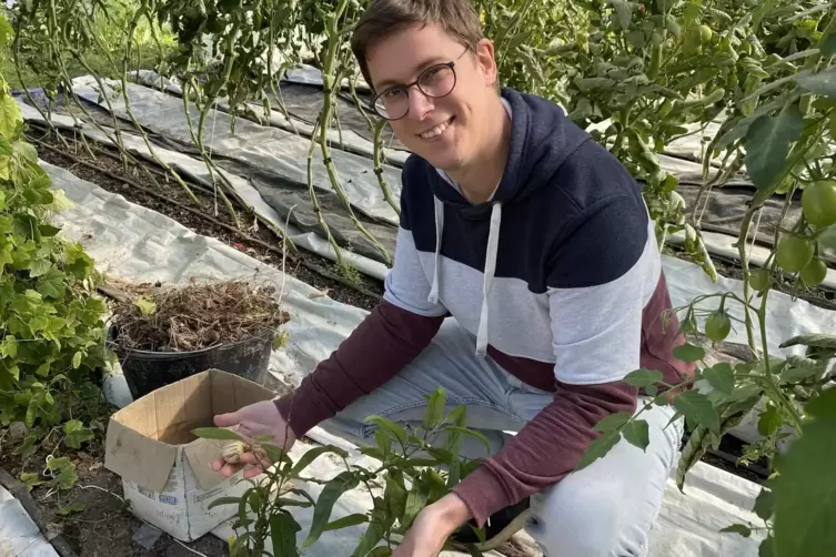 Andreas Blatt leitet das von Matthias Willenbacher initiierte Projekt, ist aber auch in den Obst- und Gem&uuml;seanbau involviert. Hi