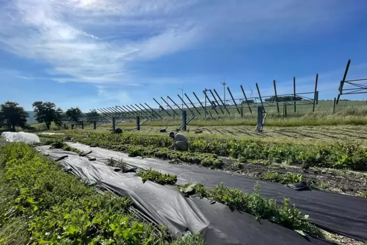 Neben dem Feld, wo jetzt noch ausrangierte St&auml;nder von Solarmodulen stehen, soll das Gew&auml;chshaus mit der Aquaponik-Anlage errich