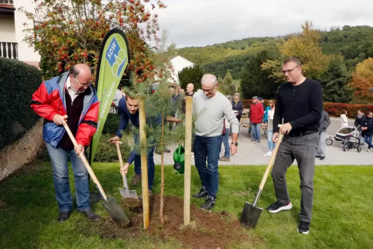 Der Ehrenvorsitzende der SDW Rheinland-Pfalz und Landrat a.D. Winfried Werner brachte die Bäume gemeinsam mit MdB Matthias Mieve