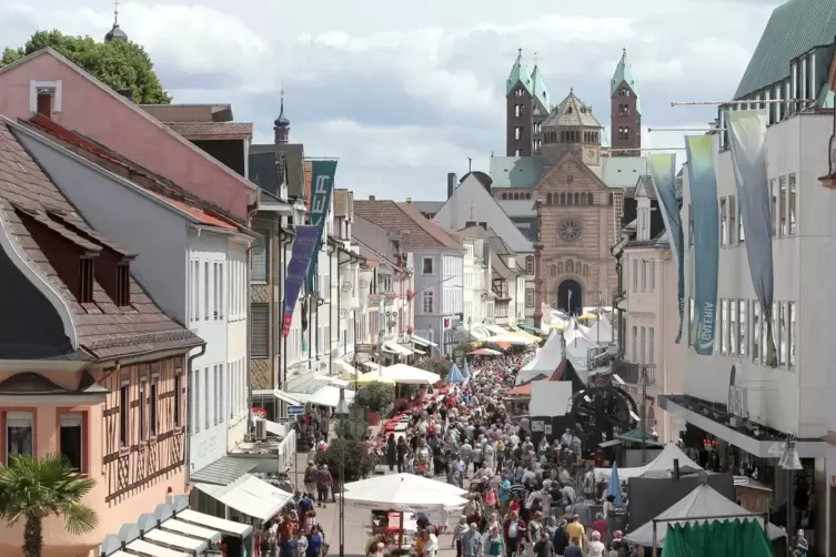 Blick vom Altpörtel auf Speyer: Was macht die „Stadt der Zukunft“ aus? 