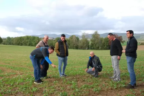 Wollen um ihre Ackerflächen kämpfen (von links): Markus Paul, Gerhard Paul, Lukas Hendrich, Stefan Martin, Josef Hendrich und Ul
