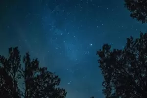 Zurück zur dunklen Nacht – darüber sind nicht alle glücklich. Zurück zur dunklen Nacht – darüber sind nicht alle glücklich.