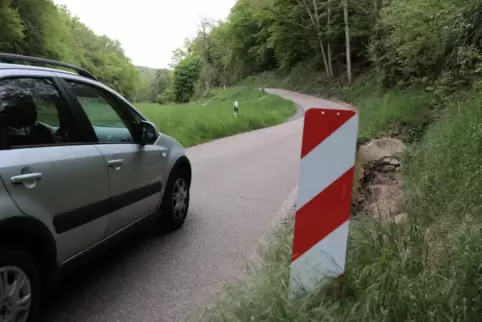 Auch das Amselthal in Altleiningen wurde als möglicher Radweg getestet.