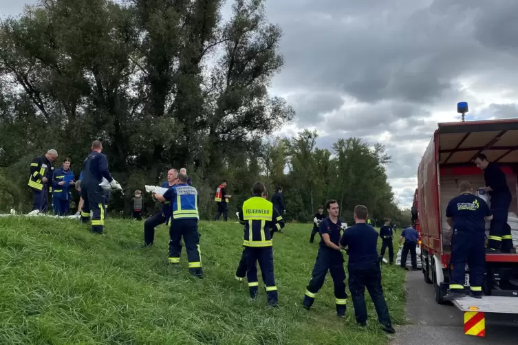 Am Deich zwischen Waldsee und Altrip: Einsatzkräfte der Feuerwehr verbauen Sandsäcke auf dem Schutzbauwerk. 