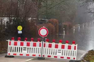 Ab einem Rhein-Pegel von 7,60 Metern überflutet: die Kollerstraße bei Otterstadt. 