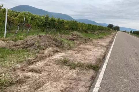 Eine Leserin ist über die Ausführung der Mäharbeiten an der Kreisstraße bei Hainfeld verwundert. Eine Leserin ist über die Ausführung der Mäharbeiten an der Kreisstraße bei Hainfeld verwundert.