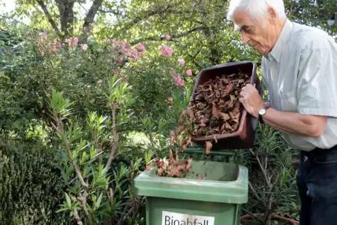 Im Herbst stoßenGartenbesitzer bei der Grünen Tonne rasch an Grenzen. 